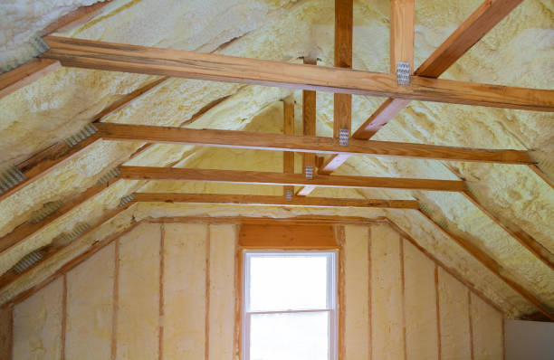 Best Spray Foam Insulation  in Riverdale, GA